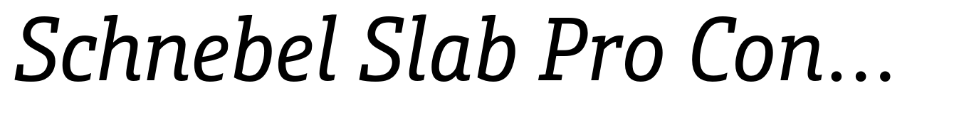 Schnebel Slab Pro Condensed Italic